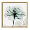 Stupell Industries Transparent Flower Blossom Floating Frame Design by Albert Koetsier